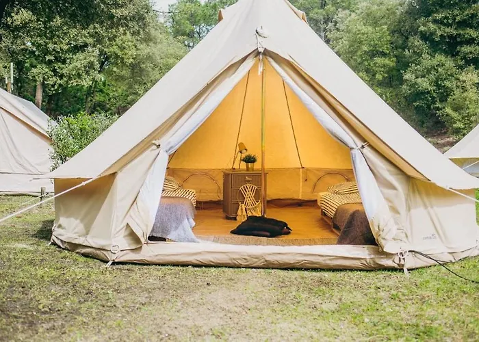 Le Spot Sur * לה-טראנש-סור-מר