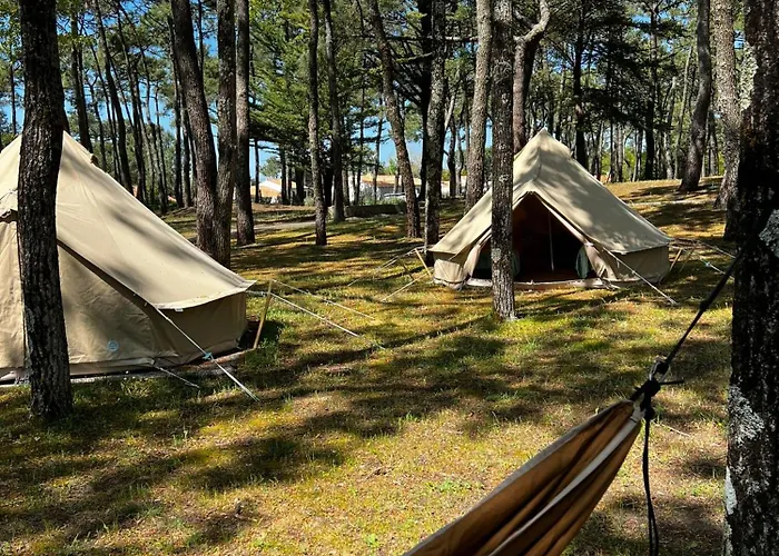 Le Spot Sur אוהל מפואר לה-טראנש-סור-מר