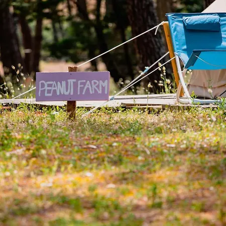 Le Spot Sur La Tranche-sur-Mer