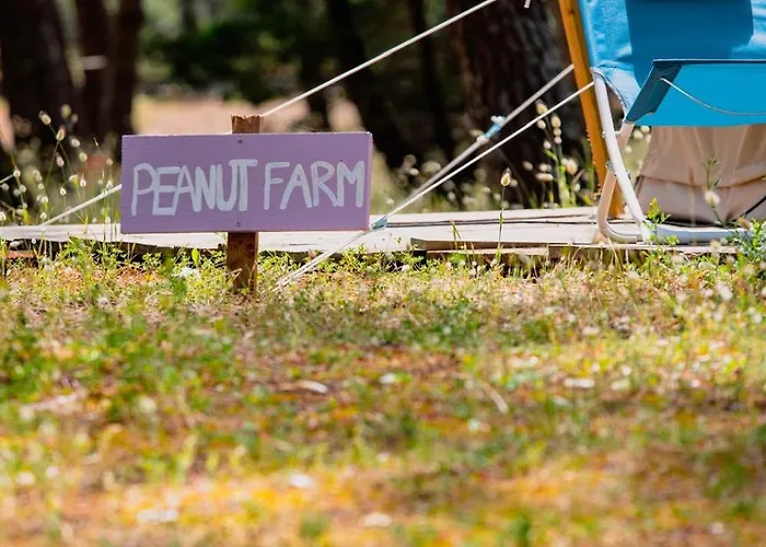 Le Spot Sur La Tranche-sur-Mer